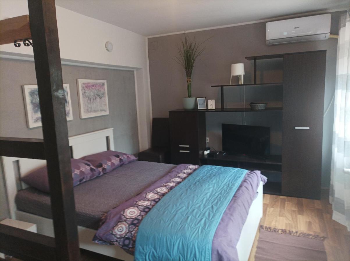 Apartmani Biljana Lazic Vrnjačka Banja Exteriör bild