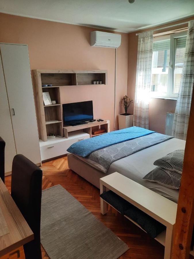 Apartmani Biljana Lazic Vrnjačka Banja Exteriör bild