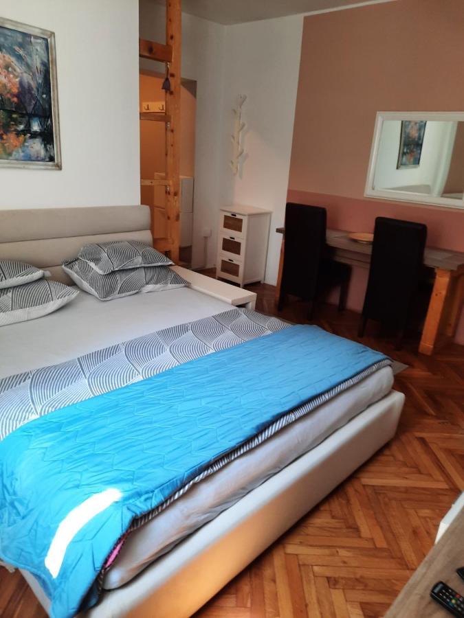 Apartmani Biljana Lazic Vrnjačka Banja Exteriör bild